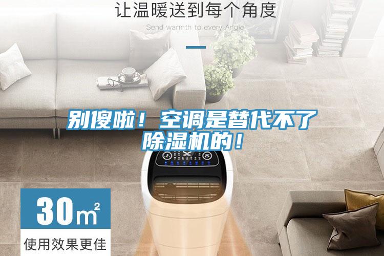 別傻啦！空調是替代不了除濕機的！