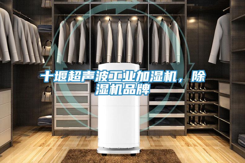 十堰超聲波工業(yè)加濕機(jī)，除濕機(jī)品牌