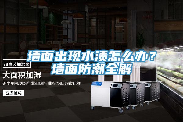 墻面出現(xiàn)水漬怎么辦？墻面防潮全解