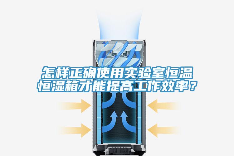 怎樣正確使用實(shí)驗(yàn)室恒溫恒濕箱才能提高工作效率？