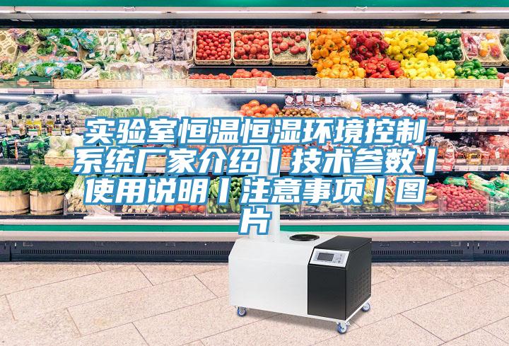 實驗室恒溫恒濕環(huán)境控制系統(tǒng)廠家介紹丨技術參數(shù)丨使用說明丨注意事項丨圖片