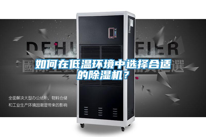 如何在低溫環(huán)境中選擇合適的除濕機？
