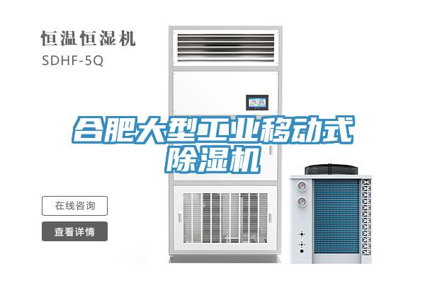 合肥大型工業(yè)移動(dòng)式除濕機(jī)
