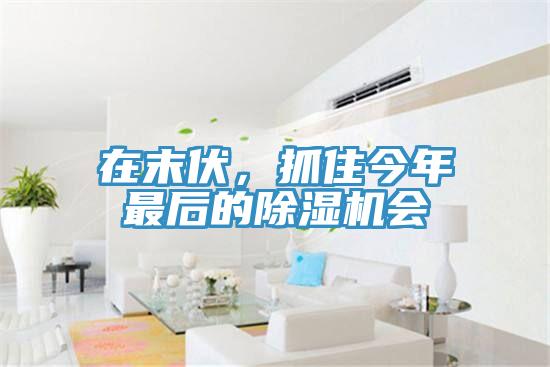 在末伏，抓住今年最后的除濕機(jī)會(huì)