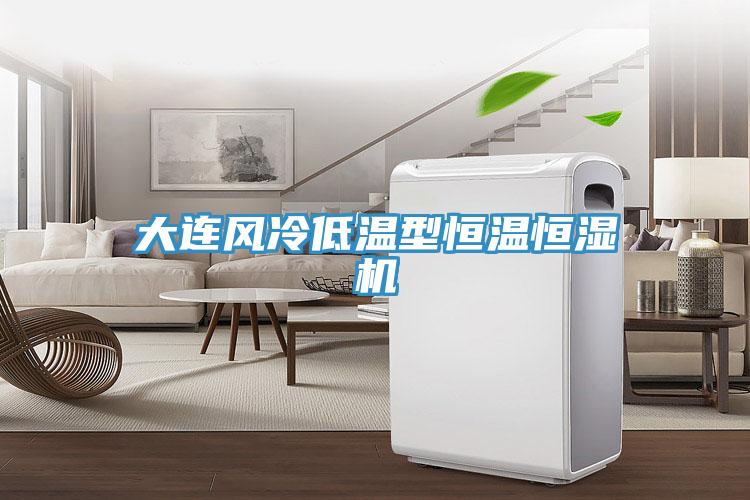 大連風冷低溫型恒溫恒濕機