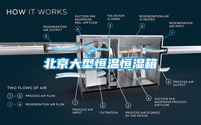 北京大型恒溫恒濕箱