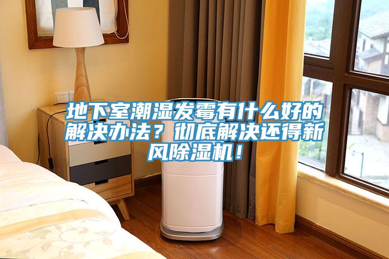 地下室潮濕發(fā)霉有什么好的解決辦法？徹底解決還得新風除濕機！