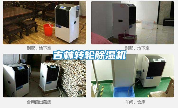 吉林轉(zhuǎn)輪除濕機
