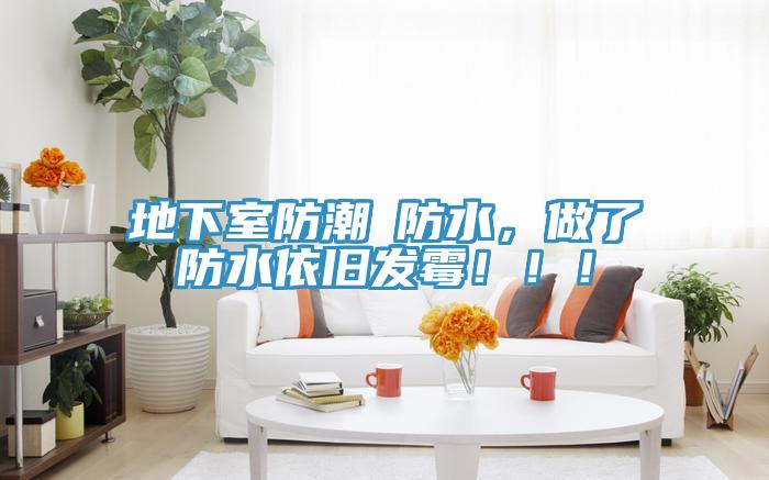 地下室防潮≠防水，做了防水依舊發(fā)霉?。?！