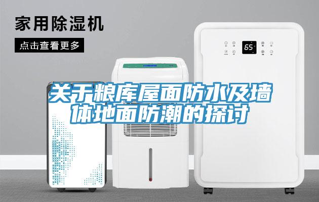 關(guān)于糧庫(kù)屋面防水及墻體地面防潮的探討