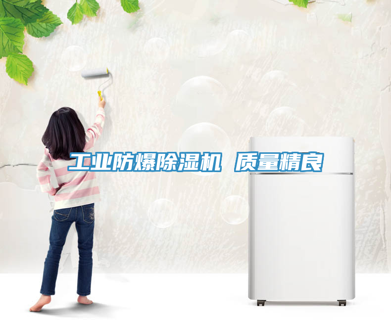工業(yè)防爆除濕機(jī) 質(zhì)量精良