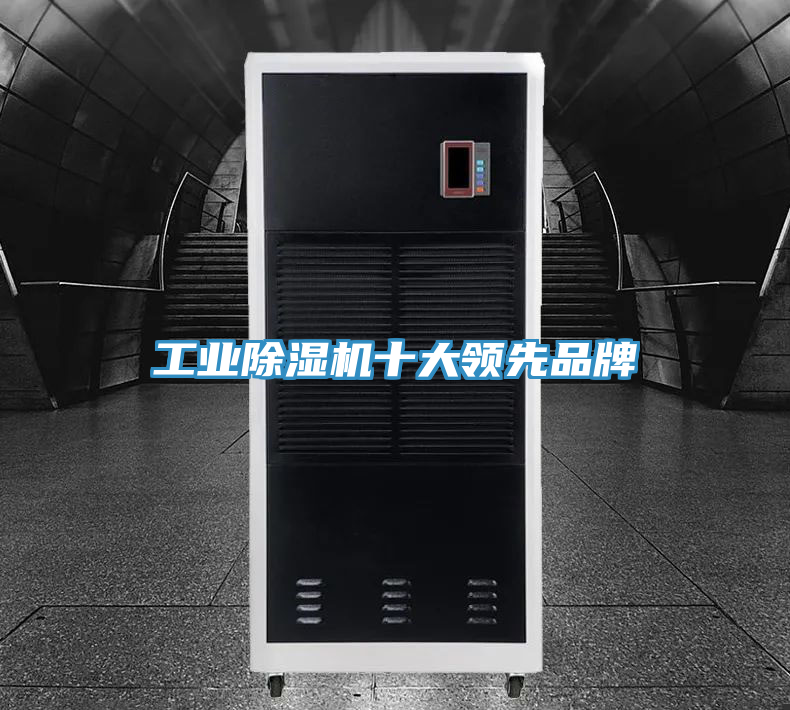 工業(yè)除濕機十大領(lǐng)先品牌