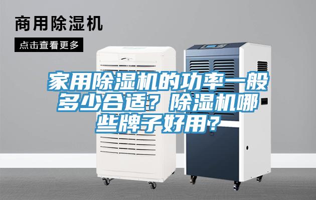 家用除濕機(jī)的功率一般多少合適？除濕機(jī)哪些牌子好用？