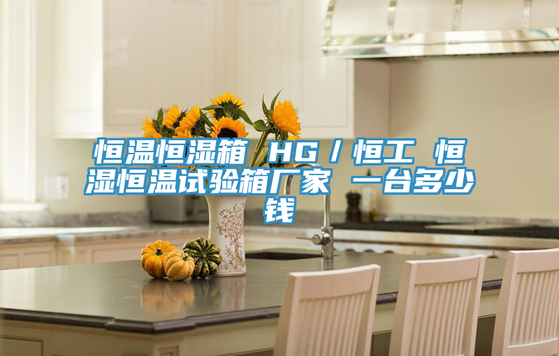 恒溫恒濕箱 HG／恒工 恒濕恒溫試驗(yàn)箱廠(chǎng)家 一臺(tái)多少錢(qián)