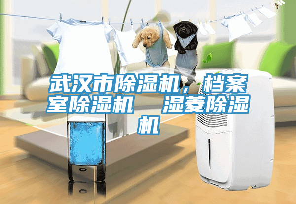 武漢市除濕機，檔案室除濕機  濕菱除濕機