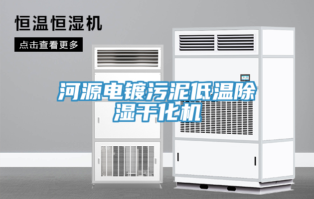 河源電鍍污泥低溫除濕干化機(jī)