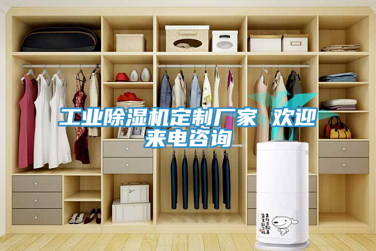 工業(yè)除濕機(jī)定制廠家 歡迎來(lái)電咨詢