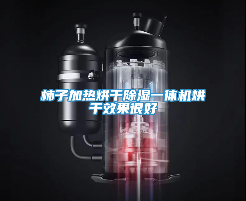 柿子加熱烘干除濕一體機(jī)烘干效果很好