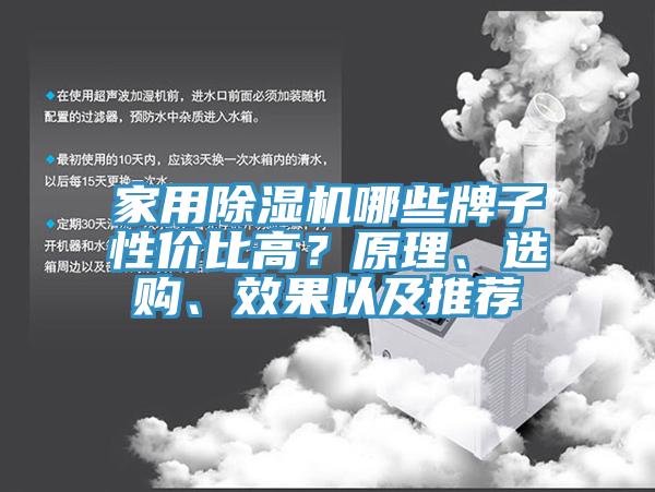 家用除濕機(jī)哪些牌子性價(jià)比高？原理、選購(gòu)、效果以及推薦