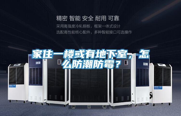 家住一樓或有地下室，怎么防潮防霉？