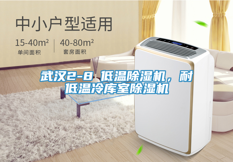 武漢2-8℃低溫除濕機，耐低溫冷庫室除濕機
