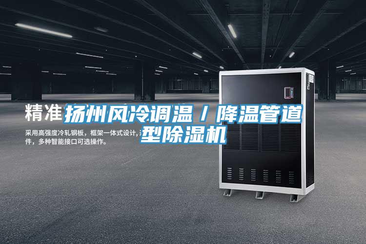 揚(yáng)州風(fēng)冷調(diào)溫／降溫管道型除濕機(jī)