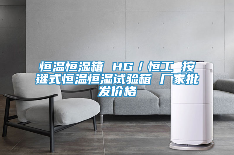 恒溫恒濕箱 HG／恒工 按鍵式恒溫恒濕試驗(yàn)箱 廠(chǎng)家批發(fā)價(jià)格