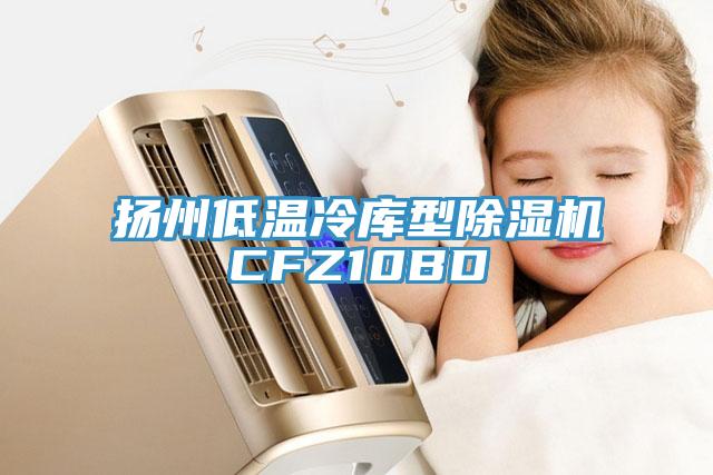 揚(yáng)州低溫冷庫(kù)型除濕機(jī)CFZ10BD