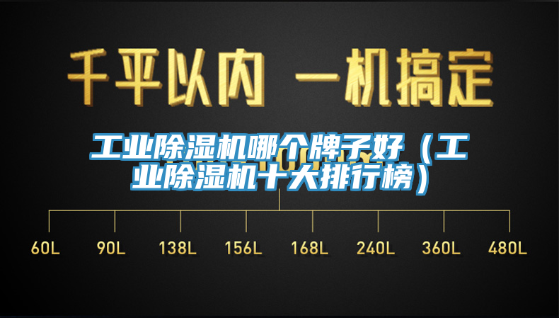 工業(yè)除濕機(jī)哪個(gè)牌子好（工業(yè)除濕機(jī)十大排行榜）