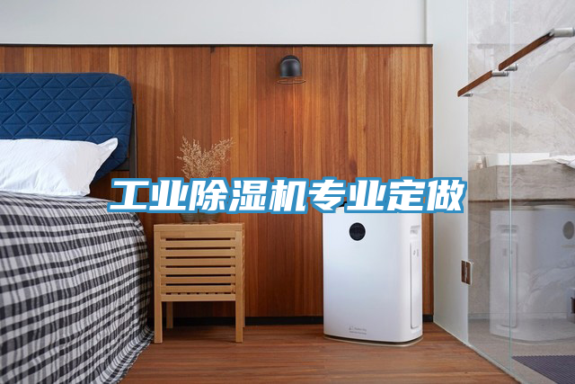 工業(yè)除濕機(jī)專(zhuān)業(yè)定做