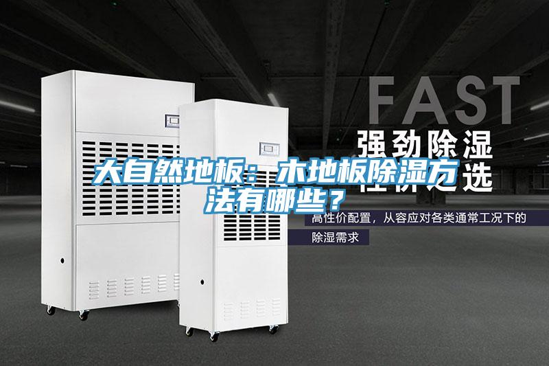 大自然地板：木地板除濕方法有哪些？