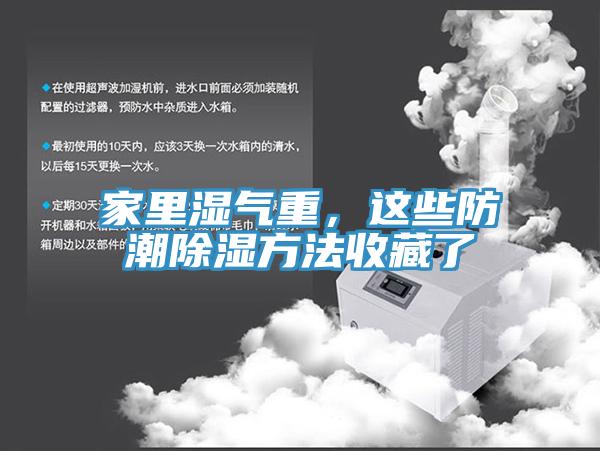 家里濕氣重，這些防潮除濕方法收藏了