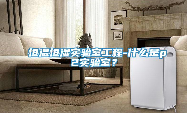 恒溫恒濕實驗室工程-什么是p2實驗室？