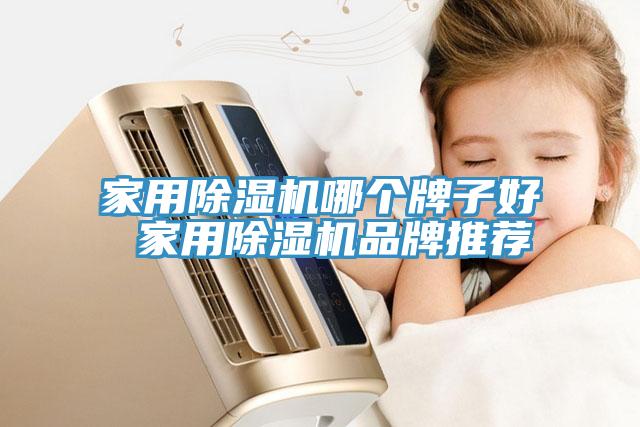 家用除濕機(jī)哪個(gè)牌子好 家用除濕機(jī)品牌推薦