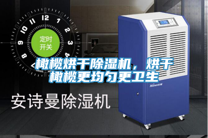 橄欖烘干除濕機，烘干橄欖更均勻更衛(wèi)生
