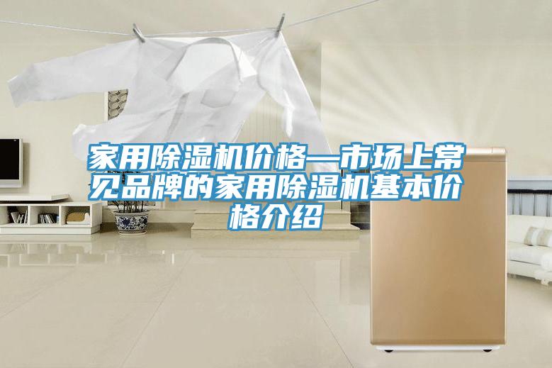 家用除濕機(jī)價(jià)格—市場(chǎng)上常見(jiàn)品牌的家用除濕機(jī)基本價(jià)格介紹