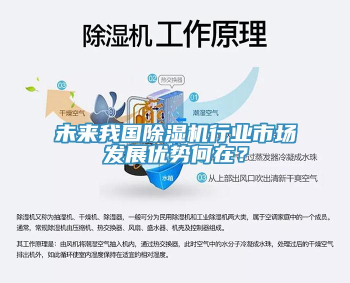 未來我國(guó)除濕機(jī)行業(yè)市場(chǎng)發(fā)展優(yōu)勢(shì)何在？