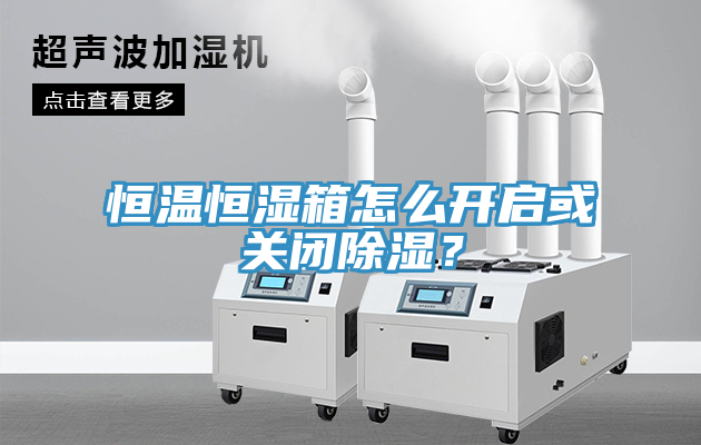 恒溫恒濕箱怎么開(kāi)啟或關(guān)閉除濕？