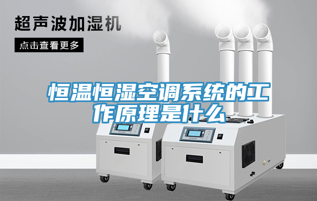 恒溫恒濕空調(diào)系統(tǒng)的工作原理是什么