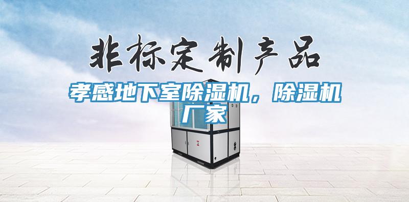 孝感地下室除濕機，除濕機廠家