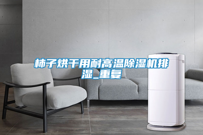 柿子烘干用耐高溫除濕機排濕_重復