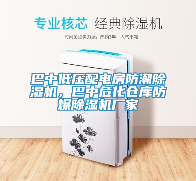 巴中低壓配電房防潮除濕機(jī)，巴中?；瘋}(cāng)庫(kù)防爆除濕機(jī)廠家