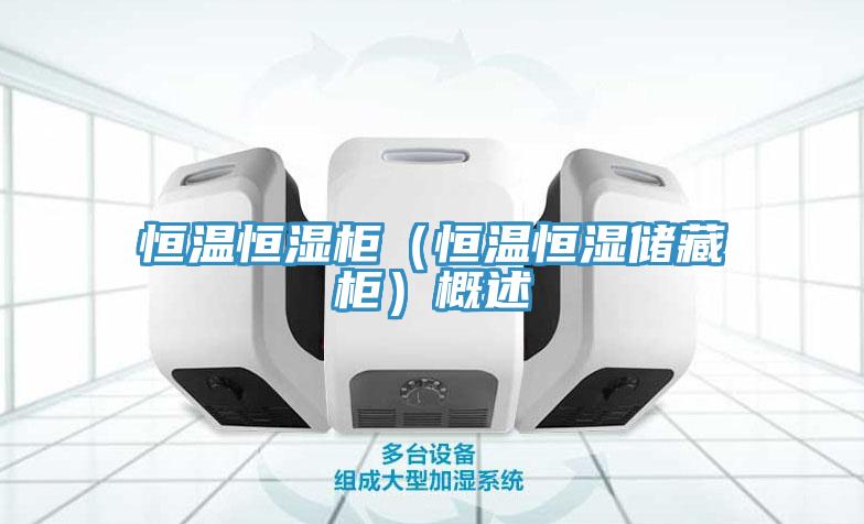 恒溫恒濕柜（恒溫恒濕儲藏柜）概述