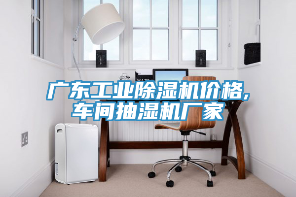 廣東工業(yè)除濕機(jī)價(jià)格,車間抽濕機(jī)廠家