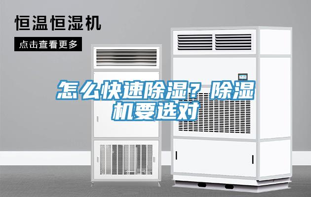 怎么快速除濕？除濕機(jī)要選對
