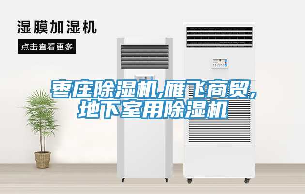 棗莊除濕機(jī),雁飛商貿(mào),地下室用除濕機(jī)