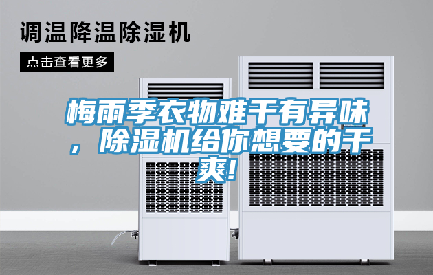 梅雨季衣物難干有異味，除濕機給你想要的干爽!