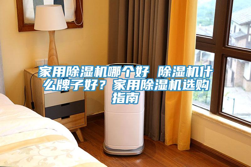 家用除濕機哪個好 除濕機什么牌子好？家用除濕機選購指南