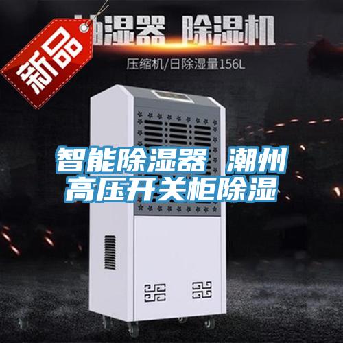 智能除濕器 潮州高壓開關(guān)柜除濕