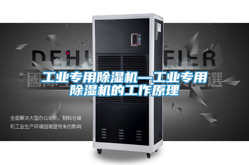 工業(yè)專用除濕機(jī)—工業(yè)專用除濕機(jī)的工作原理